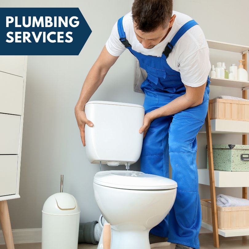 Plumbing Company in Tyaskin, MD